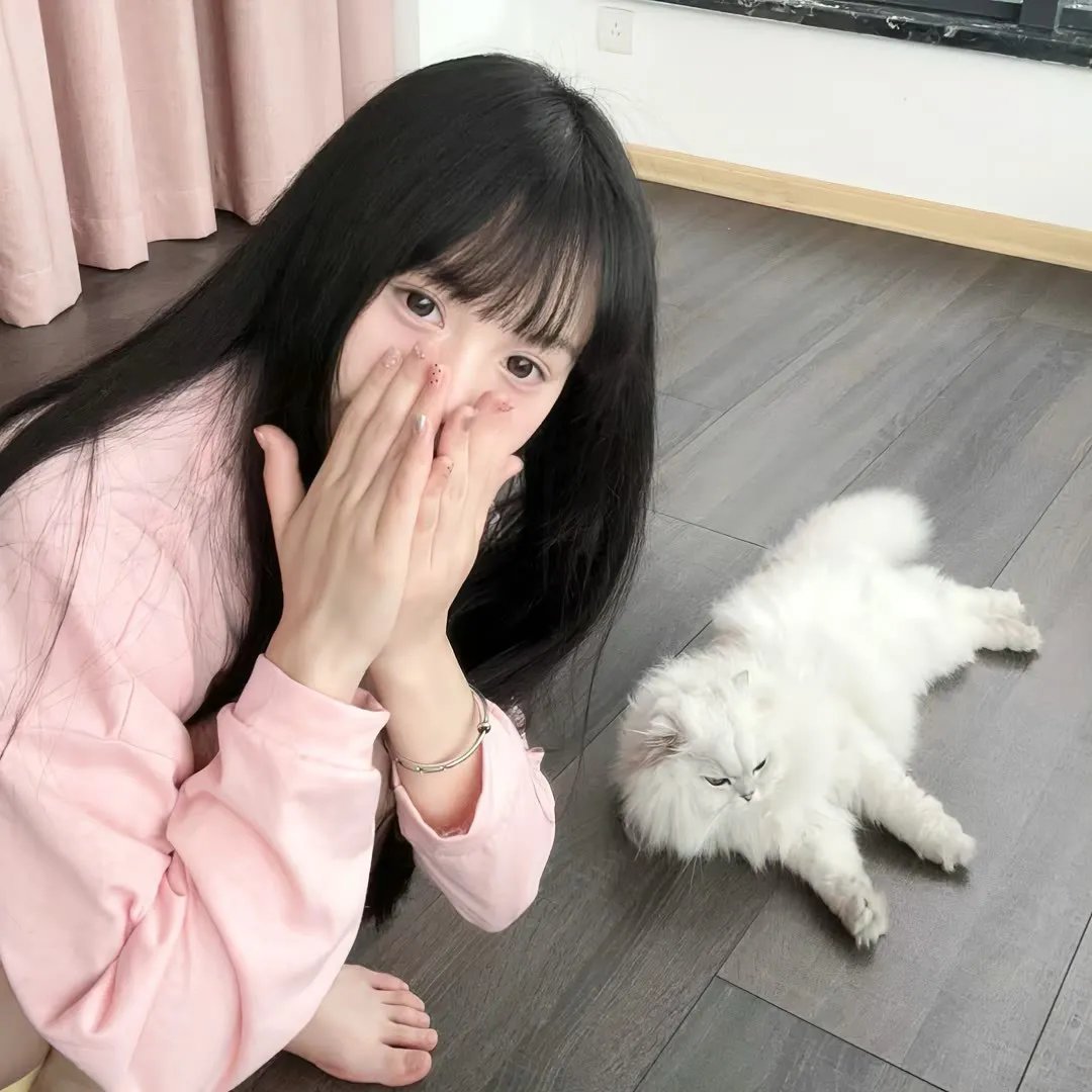 猪与珠
